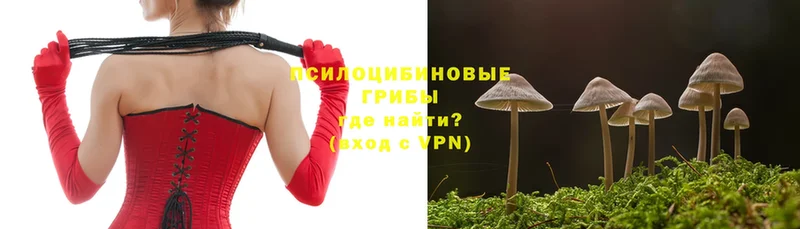 как найти закладки  Кисловодск  hydra как войти  Галлюциногенные грибы Cubensis 